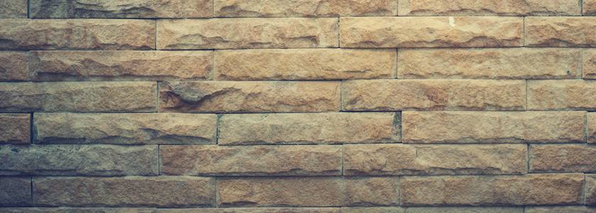 從移植到保養 肝臟多面睇