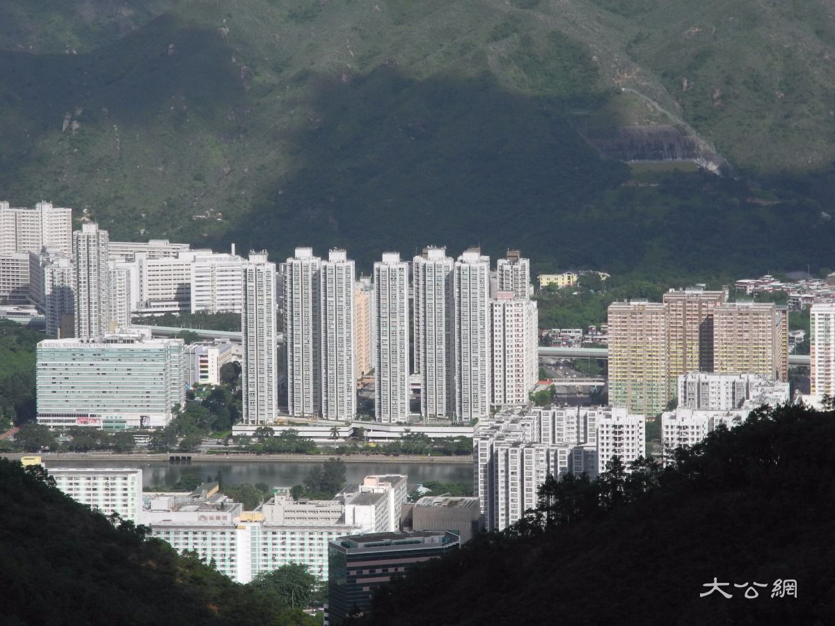 迷你户抢手 河畔花园细单位反价15万沽