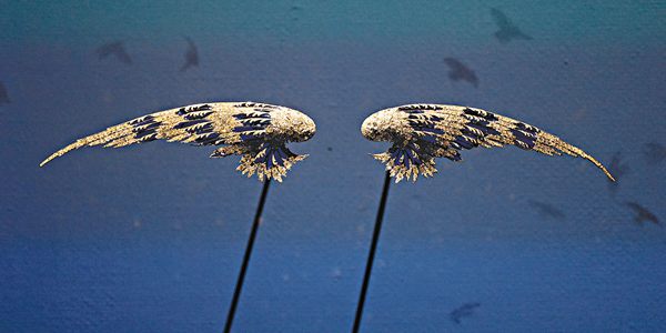 法國珍寶走進紫禁城