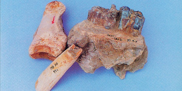 京城鬧市 石器遺址