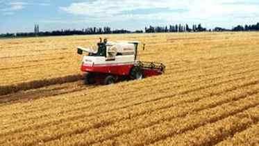 完善顶层设计加强“决胜”保障