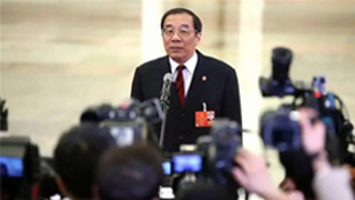 中纪委副书记掌监察委的考量