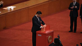 参天之木 必有其根