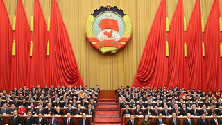 “中国式民主”展现全新活力