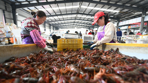 出海记｜机票、奖杯、小龙虾……“中国狂热”席卷世界杯