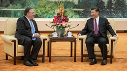 习近平会见美国务卿：中美合作可办成有利世界大事