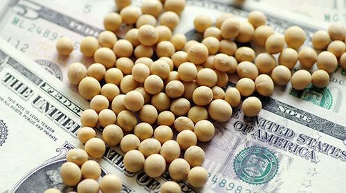 美对华征收关税 美多个行业批政府：最黑暗时刻