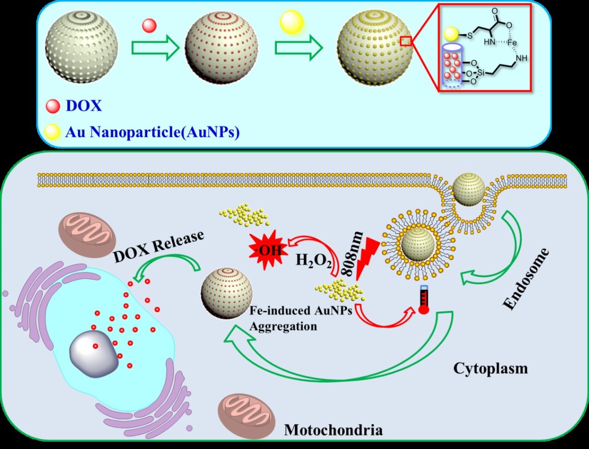 西安交大研发多模式肿瘤治疗微纳平台 实现精准治疗