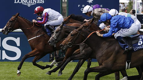 海南拟制定赛马运动发展规划：出台前任何相关传言都是假的