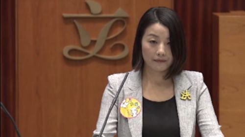 九龙西11．25补选  反对派 Plan B 狗咬狗