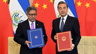 王毅谈中萨建交：坚持“一中”是人心所向大势所趋