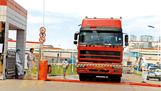 河南供港猪安全 未受猪瘟感染