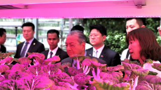 中马达共识 取消东海岸铁路等项目