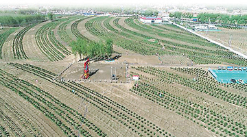 改革开放40年 | 千年大计、国家大事看雄安