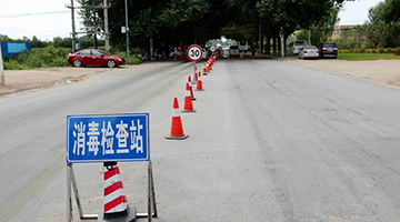 内地猪瘟疫情频频出现 农业农村部：将全力防控