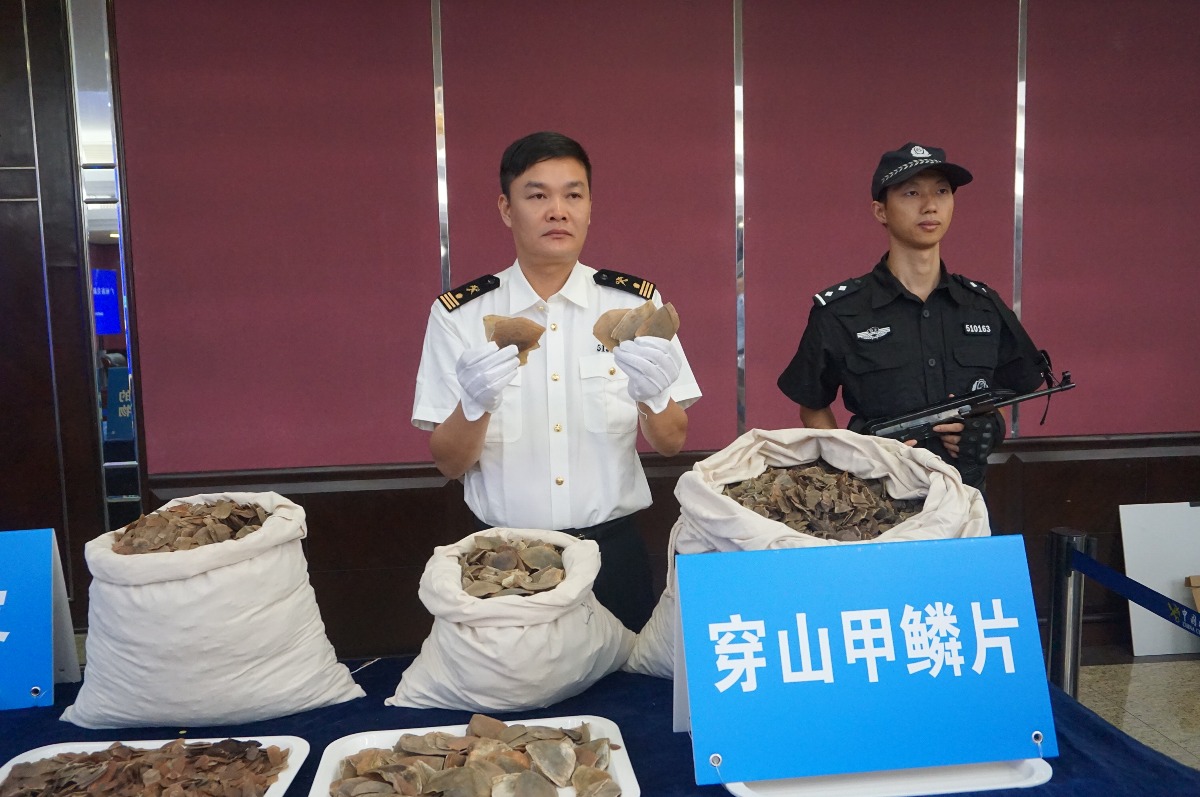 7.26吨！ 广州海关侦破穿山甲鳞片走私大案