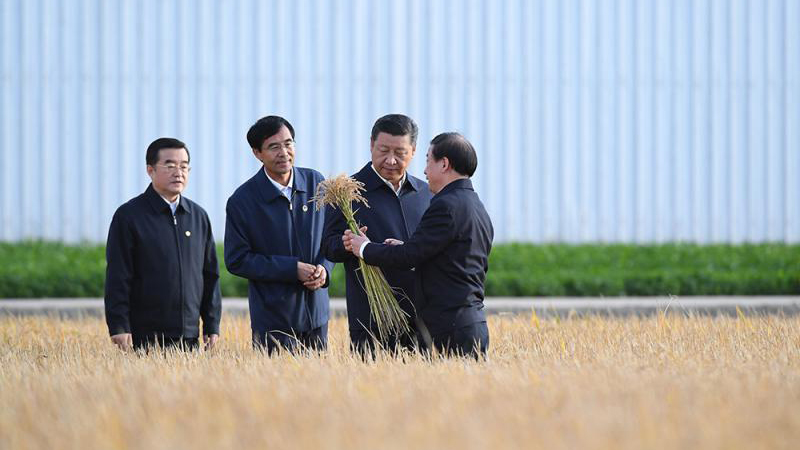 习近平考察北大荒粮食生产 强调农业振兴要插上科技翅膀