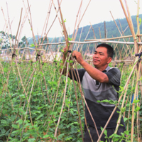 公共服务 改善生活