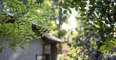 “刷”出的订单“编”出的赞 媒体揭民宿“刷单”套路