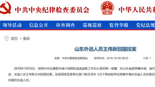 山东外逃人员王伟新主动回国投案 今年5月外逃加拿大