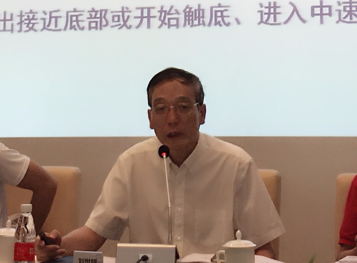 刘世锦：人民币仍相对强势