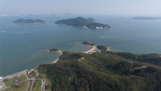 林郑冀社会鉴古知今 支持