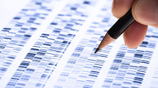 中国人群基因遗传特征首揭秘：南方人免疫力更强