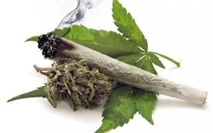 福建一县禁毒中队原中队长为涉麻制毒人员提供帮助 收受百万