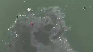 重庆万州一大巴车坠江 伤亡暂时不明