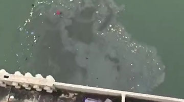 重庆坠江公交初步核实15人失联 车辆位置基本确定