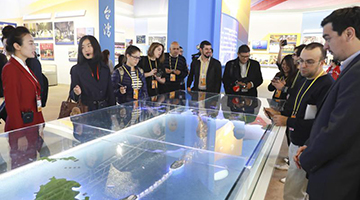 勾勒闽台1小时生活圈 台胞盼架海峡天桥圆两岸一家梦