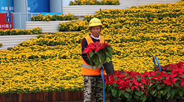 各司其职，各守其责 进博会中最可爱的人