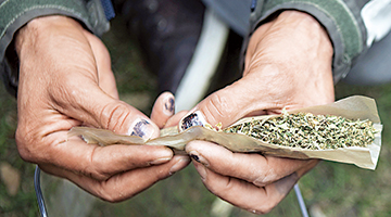 泰国推药用大麻合法化 永远不会解禁娱乐用大麻