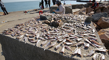浙江一水产站长“大权独揽” 对所有经办项目“雁过拔毛”