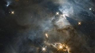 星云中现巨大蝙蝠影子 NASA:它比太阳系大200倍