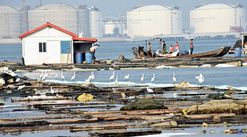 福建泉州石化泄漏多日 民众盼出台水质及海产品控数据