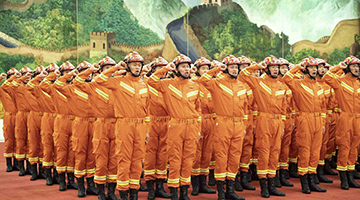 习近平为国家综合性消防救援队伍授旗并致训词侧记
