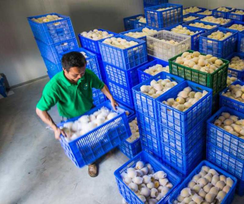 新媒体作用大 八成网上卖