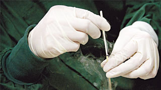 科技部回应基因编辑婴儿事件：将按有关法律和条例处理