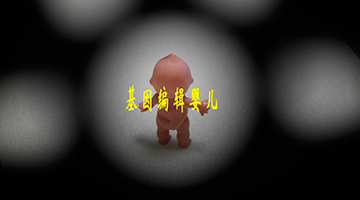 探访基因编辑婴儿事件风暴中心：实验室被封