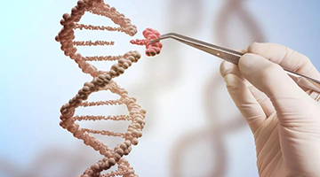 基因编辑婴儿面临多重质疑 学术界密集回应