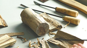 广东建沉香特色小镇 打造大湾区健康养生基地