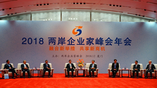 两岸企业家峰会年会：西进握手相言欢