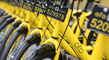 ofo无法在线退押金 “退押金”按钮成灰色