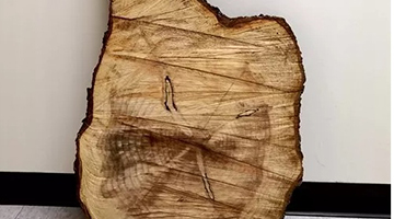 加拿大市民到中国驻加使馆送礼 为政府错误道歉