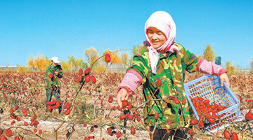 4000万“特急”扶贫款被滞留146天 甘肃多官员受处分