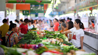 宁吉喆：6.5%增长目标能较好实现