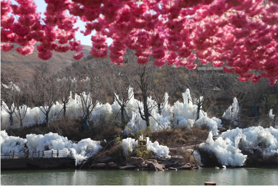 洛陽萬安山大峽谷驚現冰掛奇觀