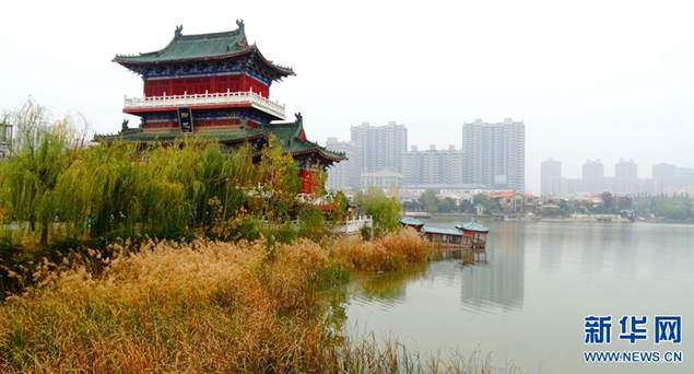 開封金明池 殘荷伴水鳥