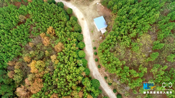 南陽市卧龍區：着力打造宜居家園